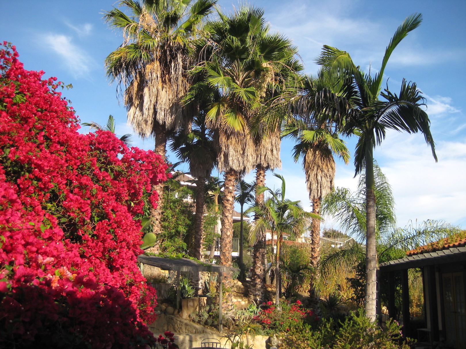 Trees for Growth Haiku